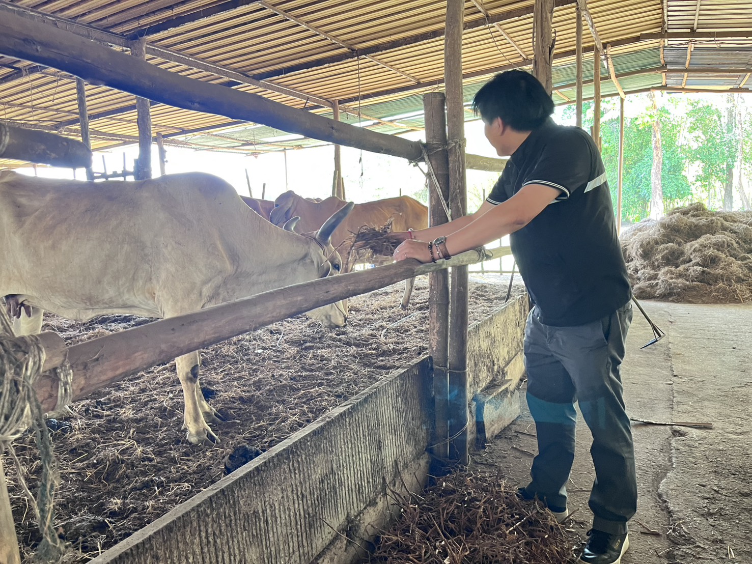 title - วันอังคารที่ 31 มีนาคม 2569 นายวิทูล ประดิษฐบุญ ปฏิรูปที่ดินจัังหวัดปราจีนบุรี พร้อมด้วย เจ้าหน้าที่ ส.ป.ก.ปราจีนบุรี เข้าร่วม กิจกรรมเปิดโครงการ Kick off การใช้ประโยชน์ จากฟางข้าวตาม 